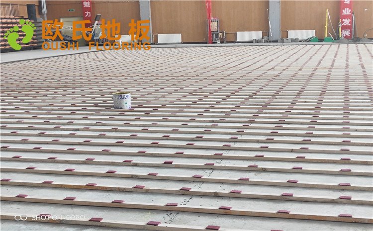 西寧市世紀職業(yè)技術(shù)學?；@球訓練館木地板圖片